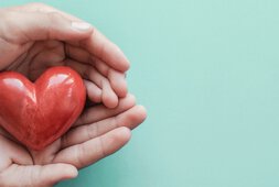 Zwei Hände halten rotes Herz aus Stein | © Sewscream - Stock.adobe